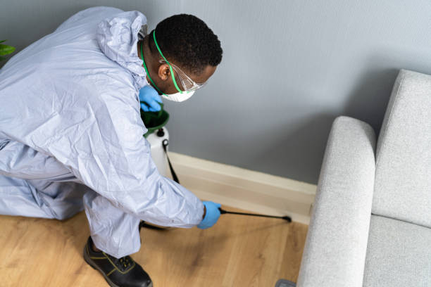 Best Bed Bug Extermination  in Markham, IL